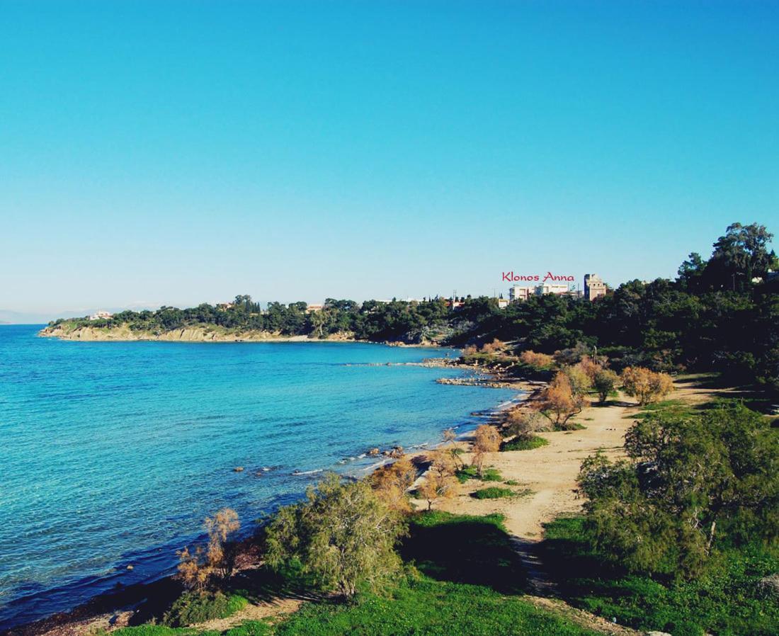 Klonos Anna Hotel Aegina Bagian luar foto